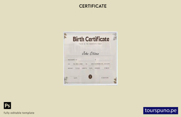 Plantilla de certificado de nacimiento de Nueva York lista para imprimir